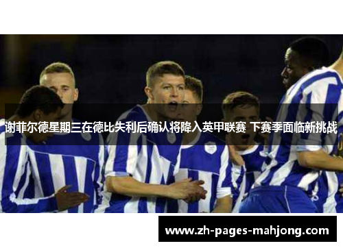 谢菲尔德星期三在德比失利后确认将降入英甲联赛 下赛季面临新挑战